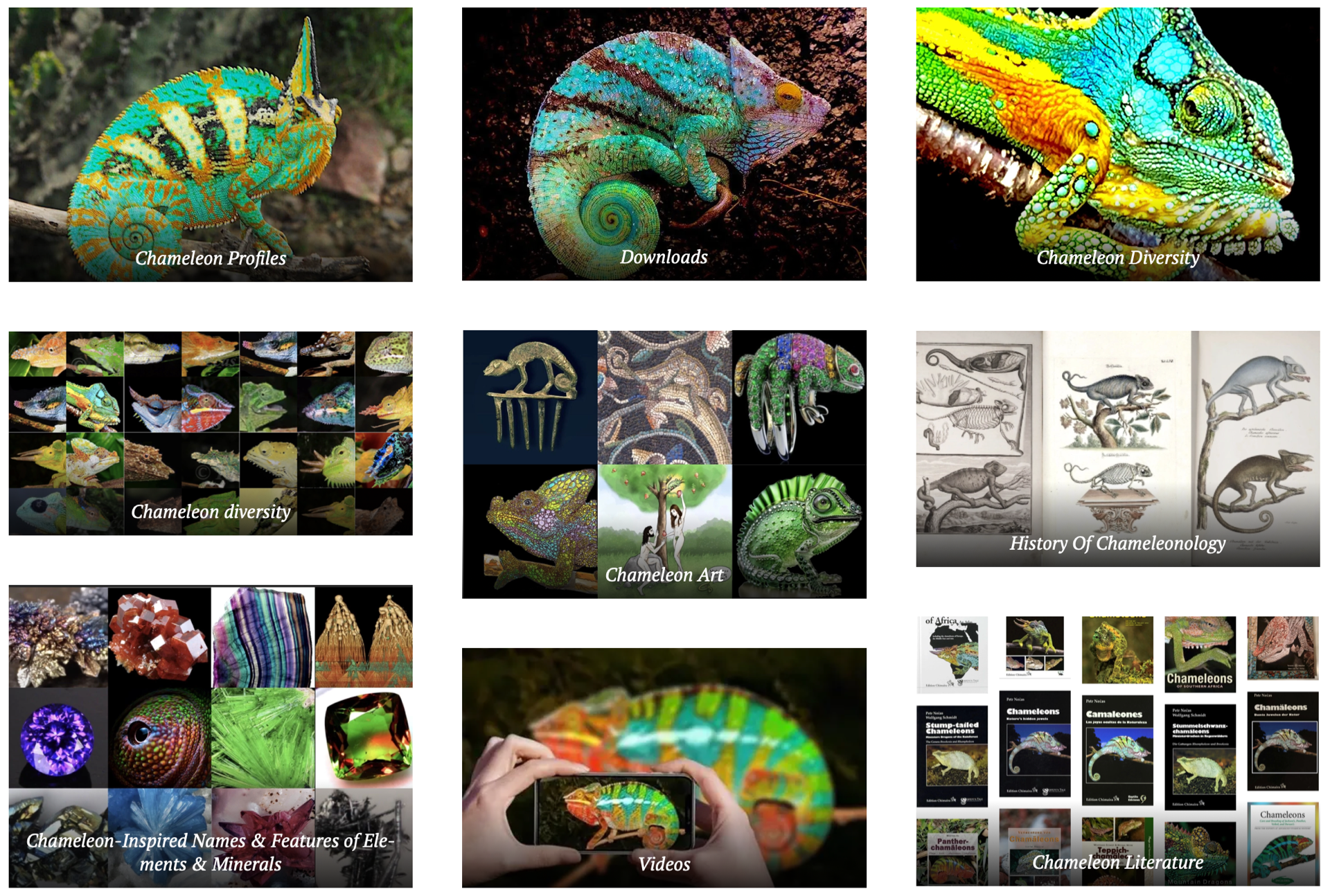 Chameleons, Petr Nečas